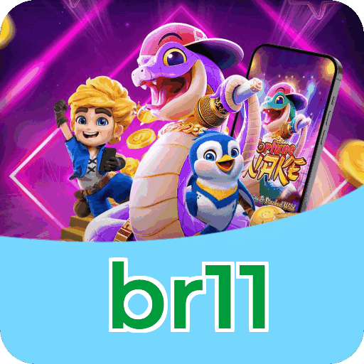 Interface br11